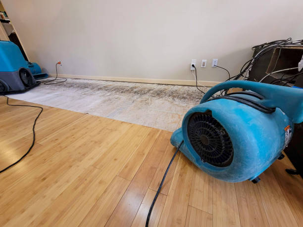 Professional Flood Damage Cleanup technician working in Sloan, NY